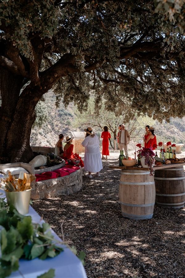 Celebrating the harvest at Arraigo del Amor