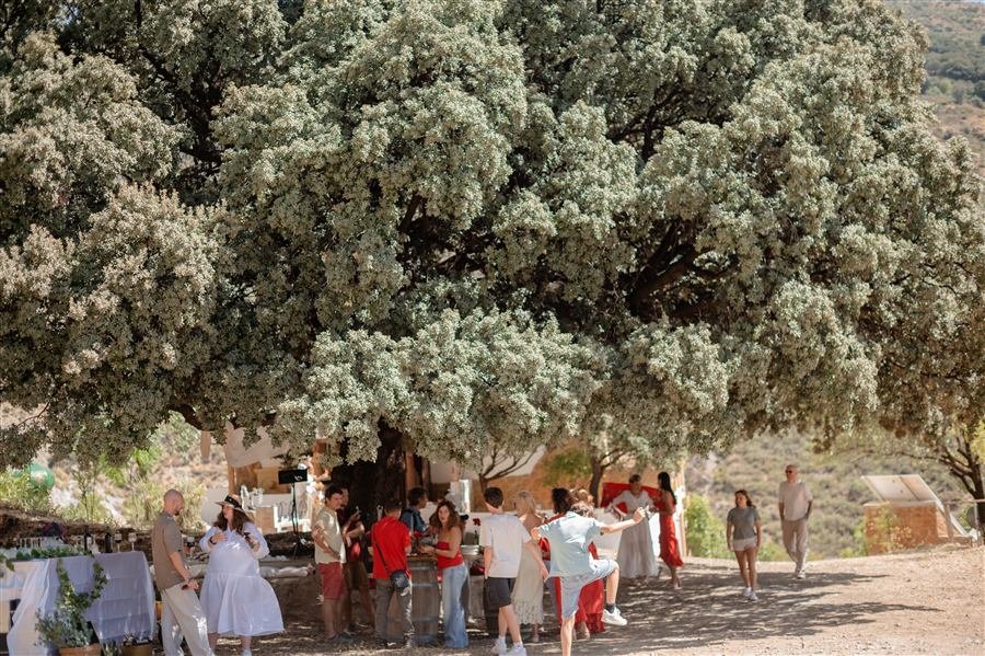Celebrating the harvest at Arraigo del Amor