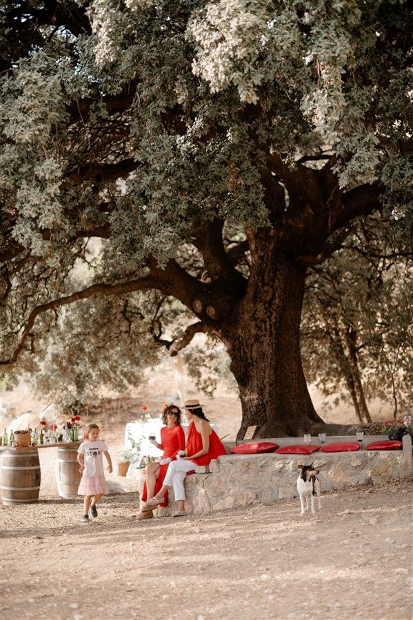 Celebrating the harvest at Arraigo del Amor