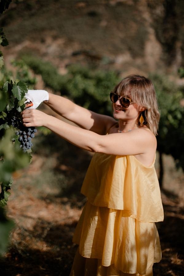Harvesting and pressing the grapes at Arraigo del Amor