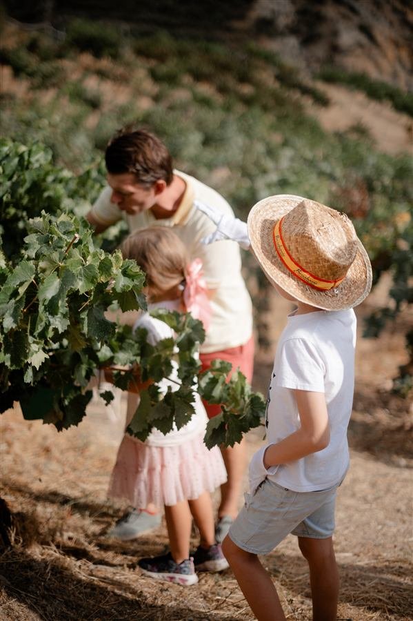A family afternoon at the vineyard
