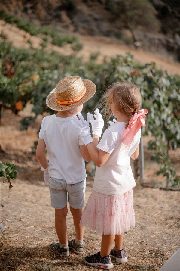 A family afternoon at the vineyard