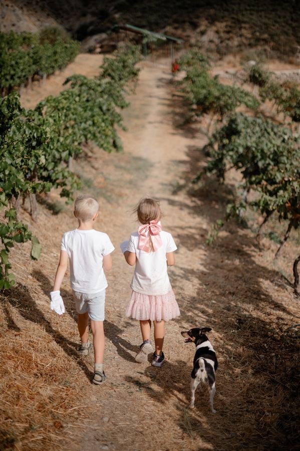 A family afternoon at the vineyard