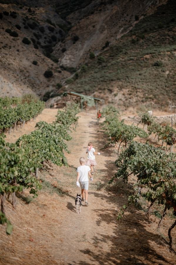 A family afternoon at the vineyard